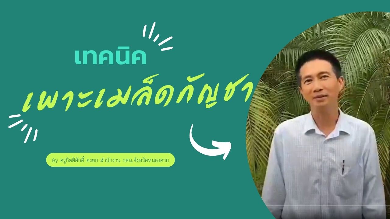 เทคนิคการเพาะเมล็ดกัญชา