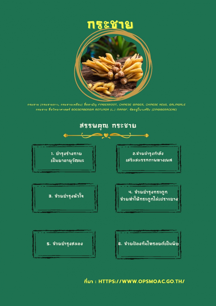 สมุนไพรพื้นบ้าน ช่วยต้านโควิด-19